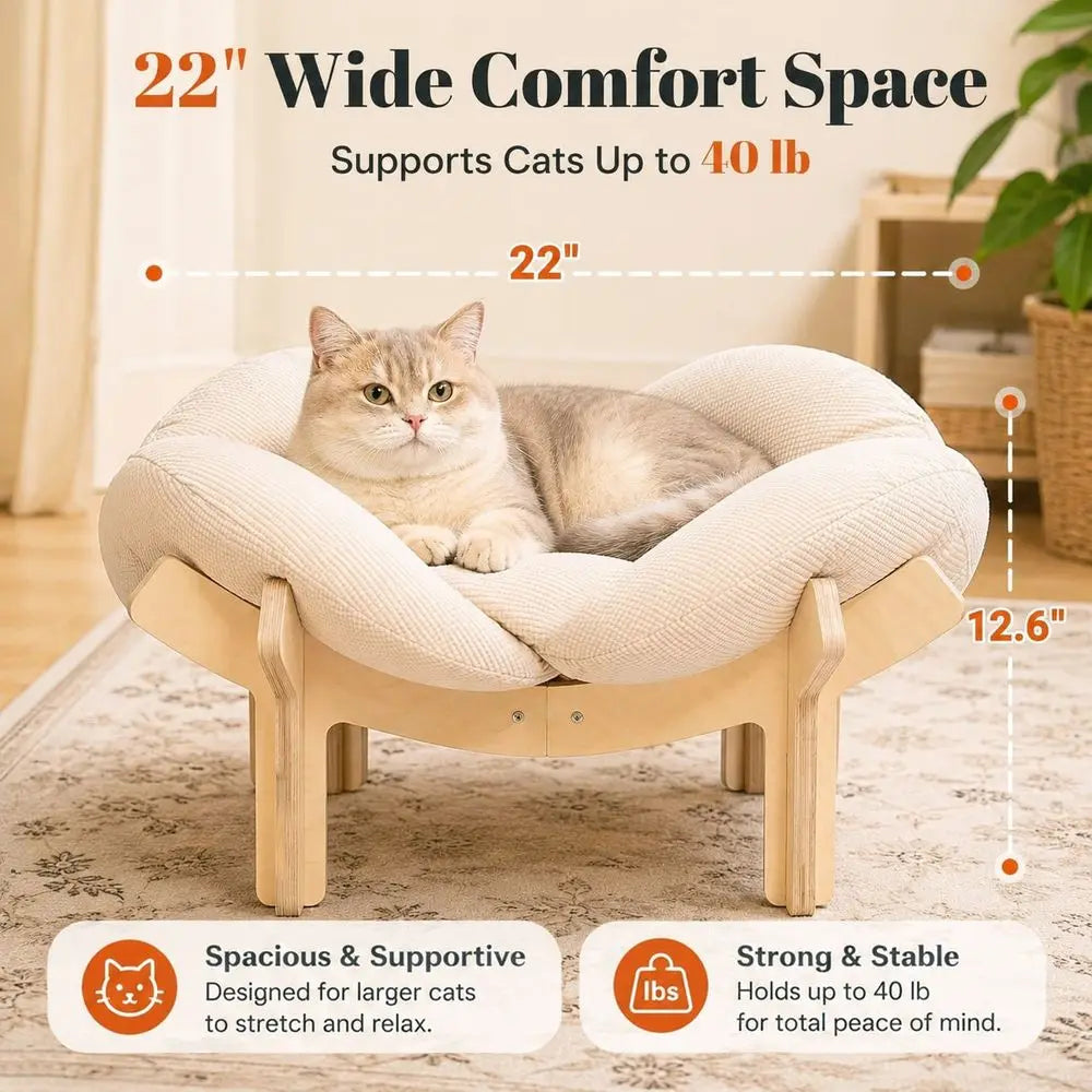 Elevated Cat Bed With Wooden Frame And Premium Cushion