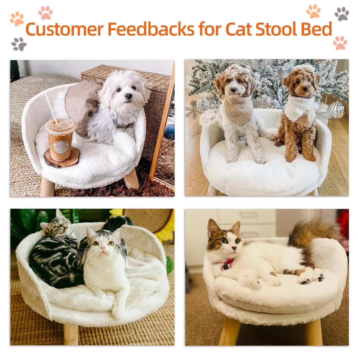 BINGOPAW Pet Sofa Bed Raised Cat Chair And Dog Couch