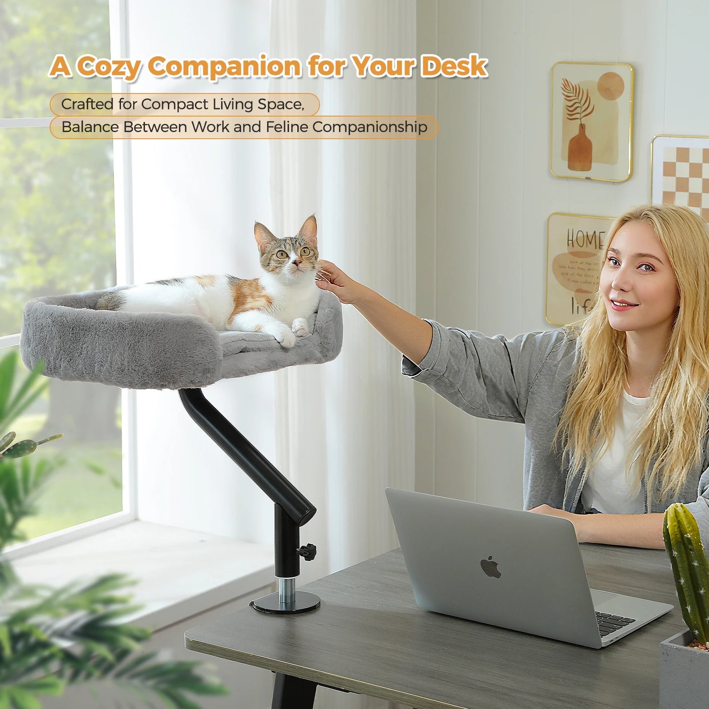 PAWZ Road Cat Desk Bed With 360 Degree Rotatable Stand
