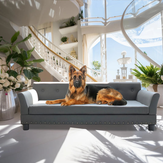 BINGOPAW Elevated Dog Sofa Bed Leather Durable Modern Design