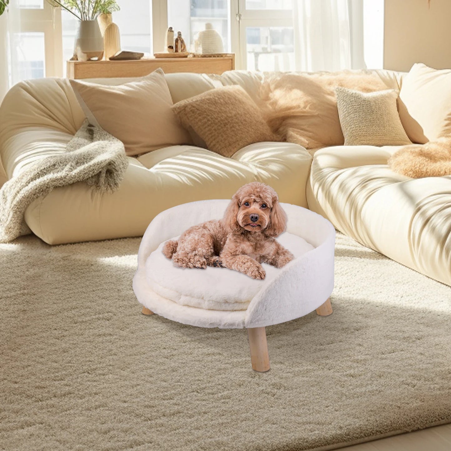 BINGOPAW Pet Sofa Bed Raised Cat Chair And Dog Couch