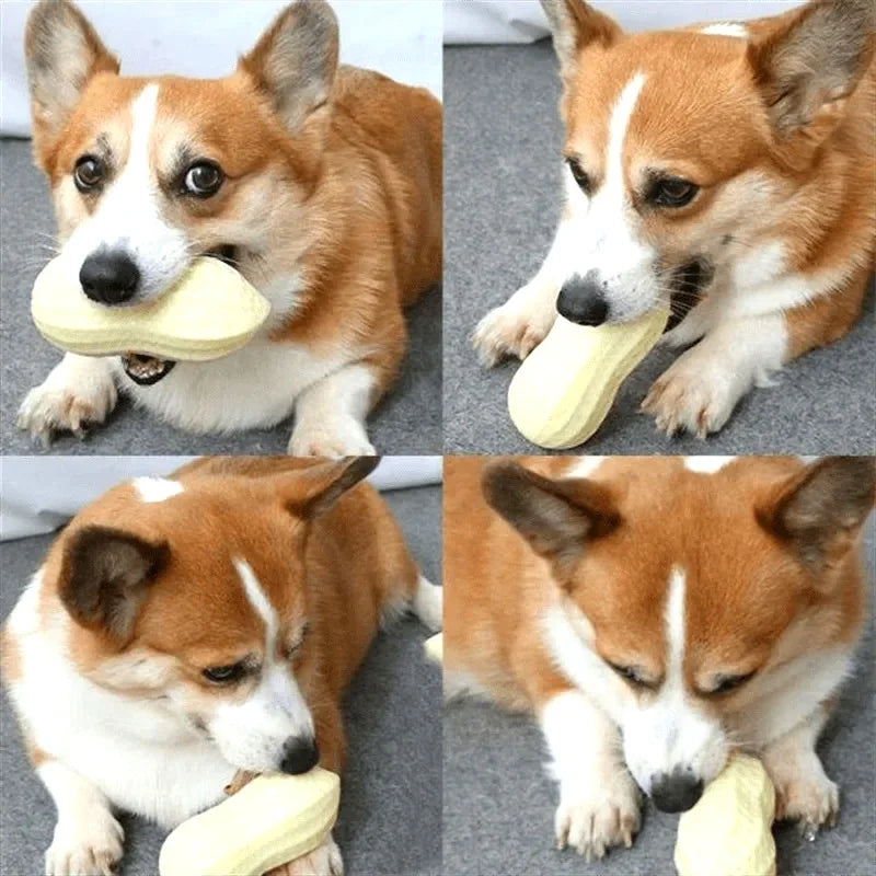 Dog Peanut Squeaker Chew Toy Anti Bite Rubber Pet Toy