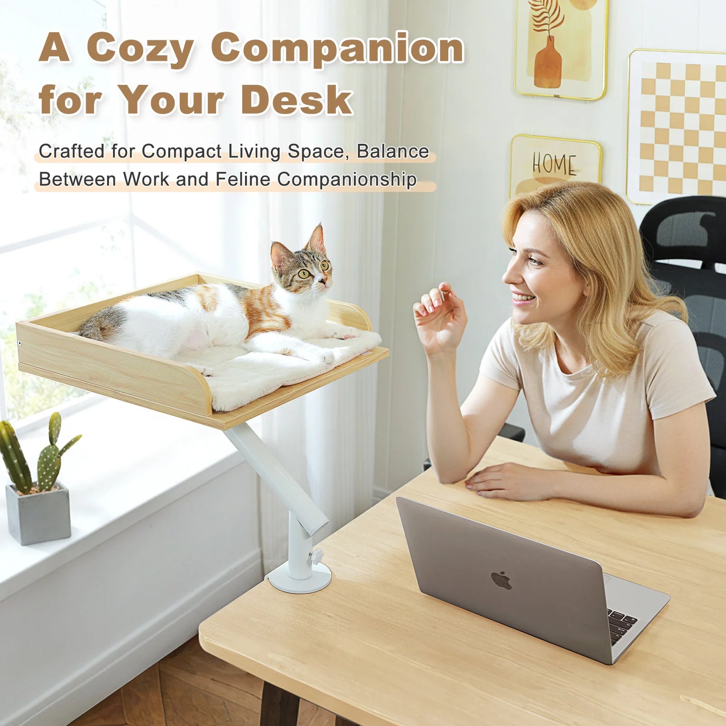 PAWZ Road Cat Desk Bed With 360 Degree Rotatable Stand