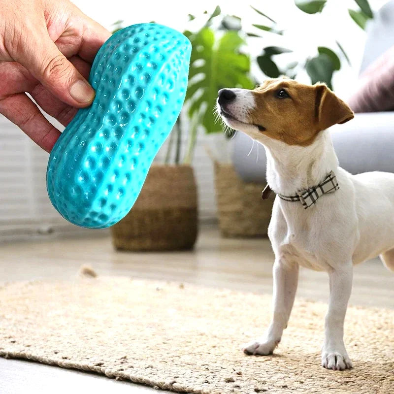 Dog Peanut Squeaker Chew Toy Anti Bite Rubber Pet Toy