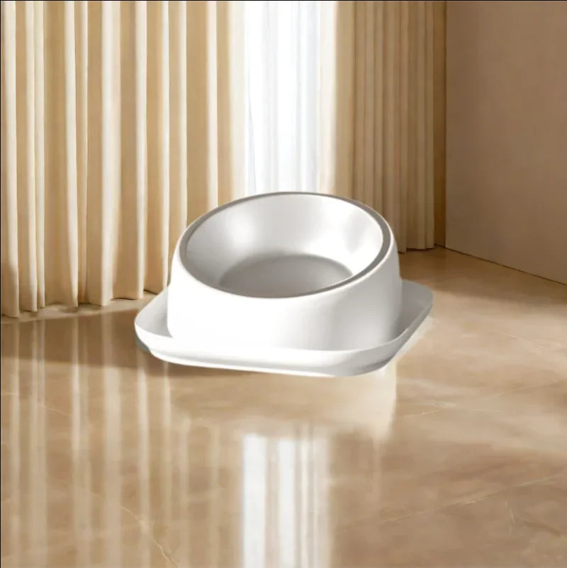 15° Tilted Cat Bowl Stainless Steel Neck Protection Anti Slip Plastic Base Pet Food Water Feeder Bowl For Cats Kitten
