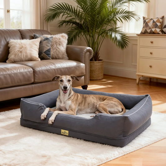 BINGOPAW Orthopedic Dog Bed With Bolster Foam Base