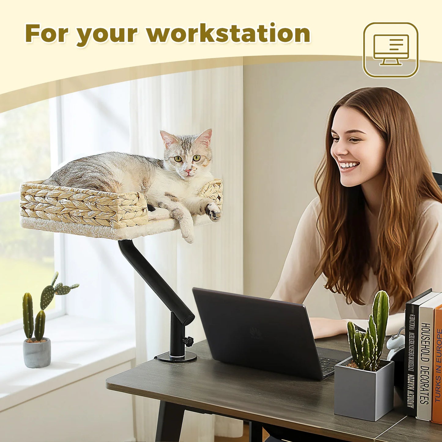 PAWZ Road Cat Desk Bed With 360 Degree Rotatable Stand