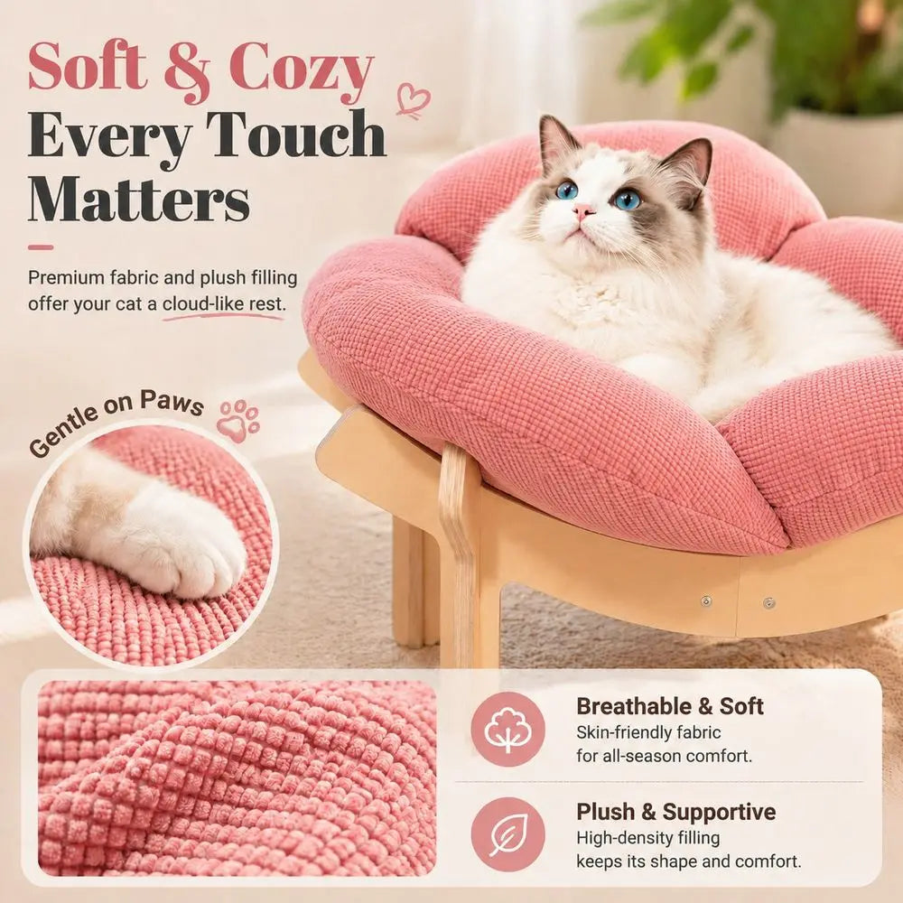 Elevated Cat Bed With Wooden Frame And Premium Cushion
