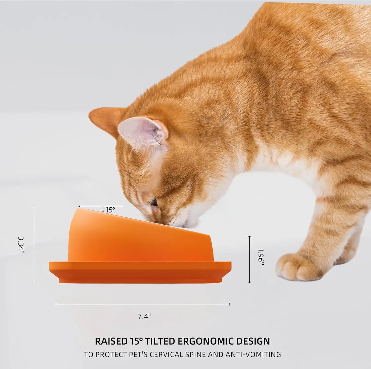15° Tilted Cat Bowl Stainless Steel Neck Protection Anti Slip Plastic Base Pet Food Water Feeder Bowl For Cats Kitten