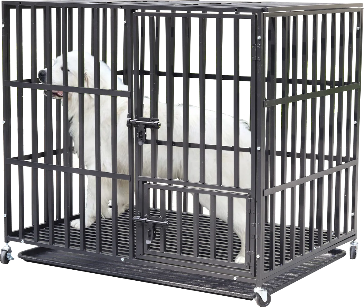 Bingopaw Heavy Duty Metal Dog Cage 3 Doors 4 Wheels