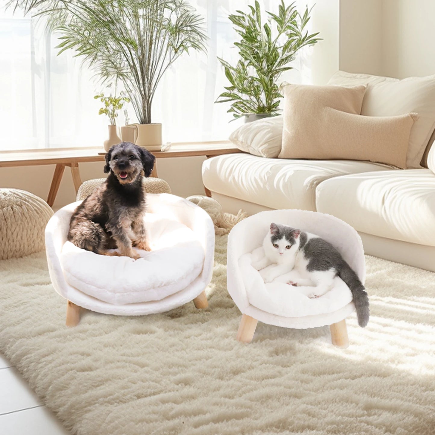 BINGOPAW Pet Sofa Bed Raised Cat Chair And Dog Couch