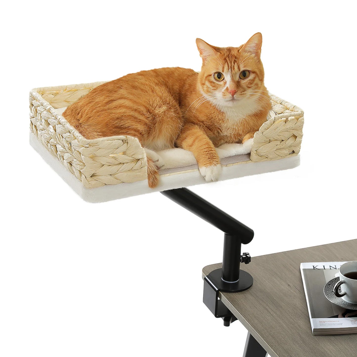 PAWZ Road Cat Desk Bed With 360 Degree Rotatable Stand