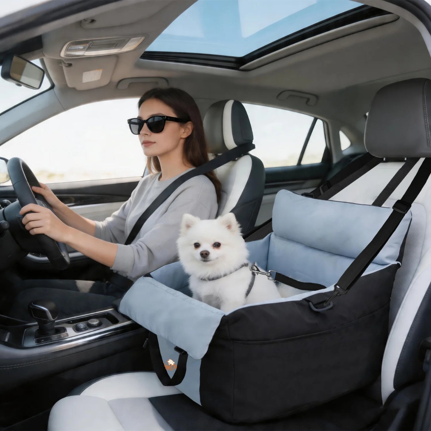 BINGOPAW Premium Dog Car Seat Booster With Safety Belt