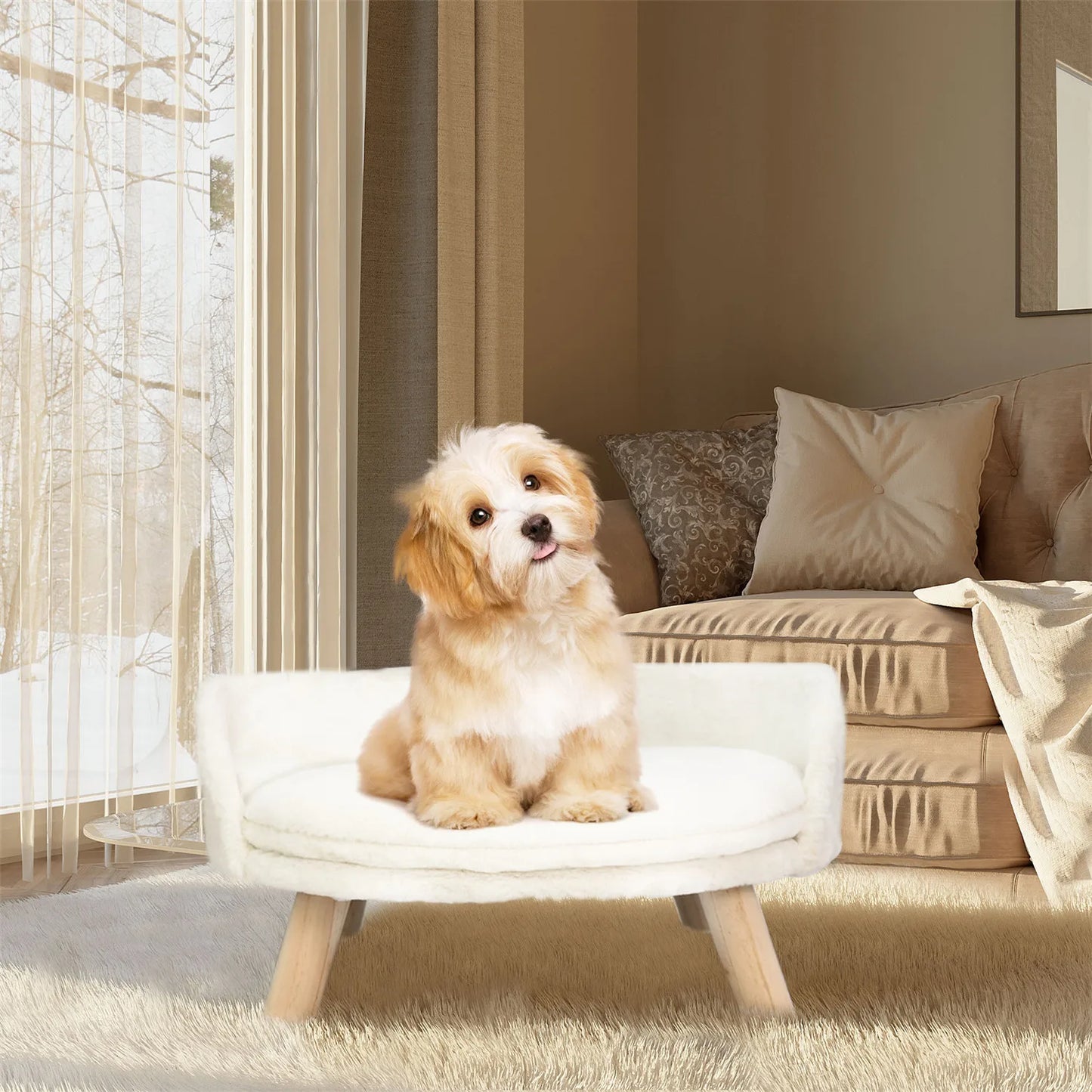 BINGOPAW Pet Sofa Bed Raised Cat Chair And Dog Couch
