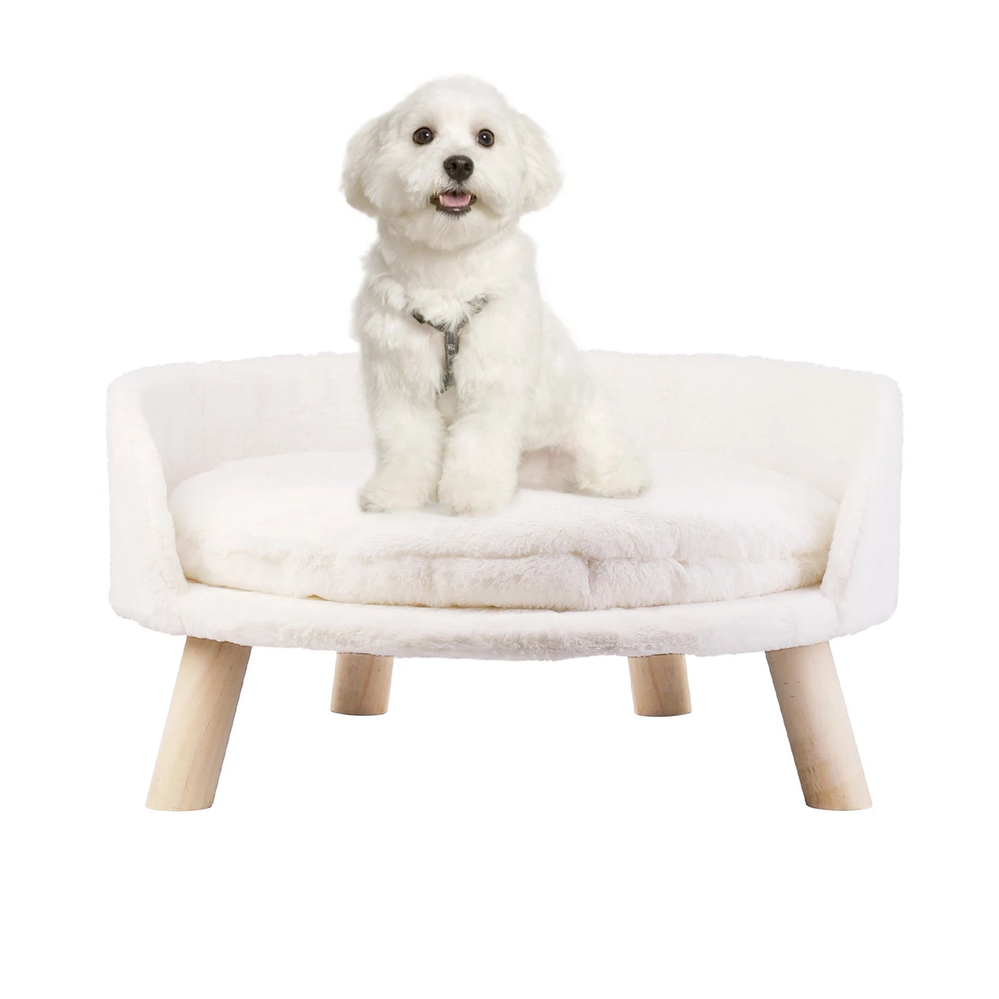 BINGOPAW Pet Sofa Bed Raised Cat Chair And Dog Couch
