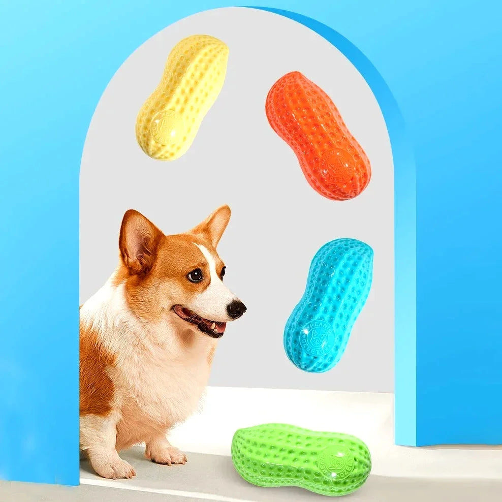 Dog Peanut Squeaker Chew Toy Anti Bite Rubber Pet Toy