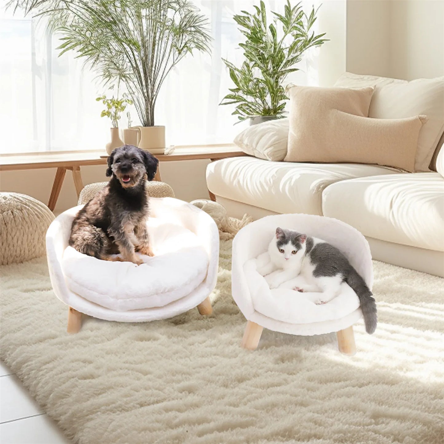 BINGOPAW Pet Sofa Bed Raised Cat Chair And Dog Couch